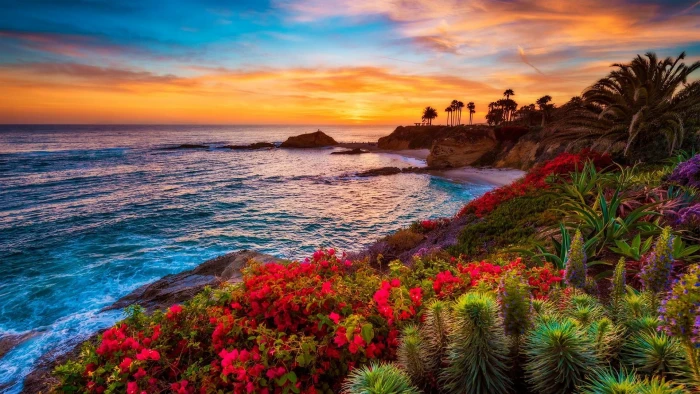flowers palm bushes coast horizon sea tropics summer 2k