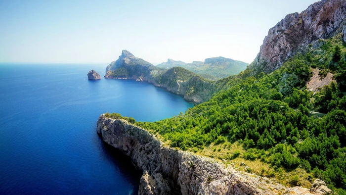 green leafed forest Spain Mallorca nature scenics 2k