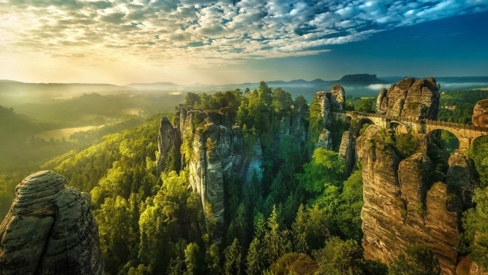 green leafed tree sunset Germany Saxon Switzerland forest 2k