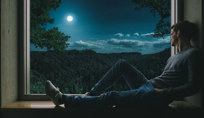 man person solo window alone thinking relax nature forest 2k