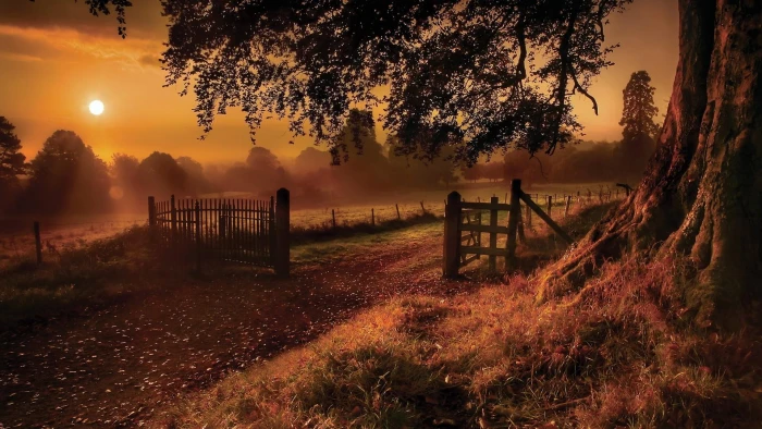 sunset grass mist landscape sky romantic autumn evening 2k