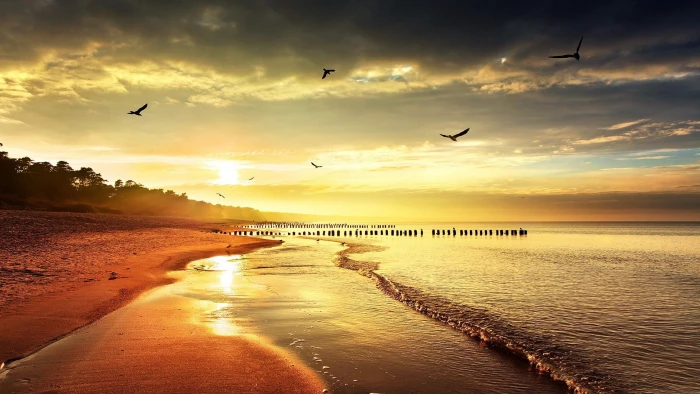 sunset sea gulls beach horizon waves 2k