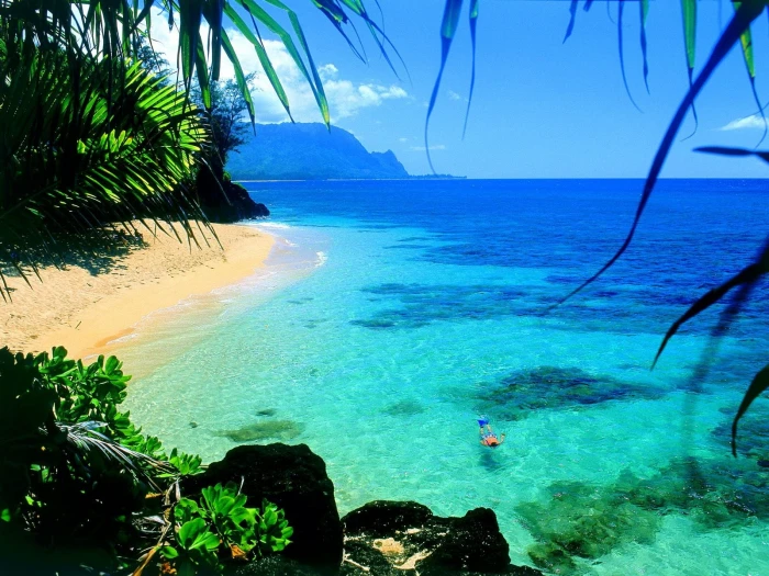 body of water beach sea coast tropical divers beauty in nature 2k