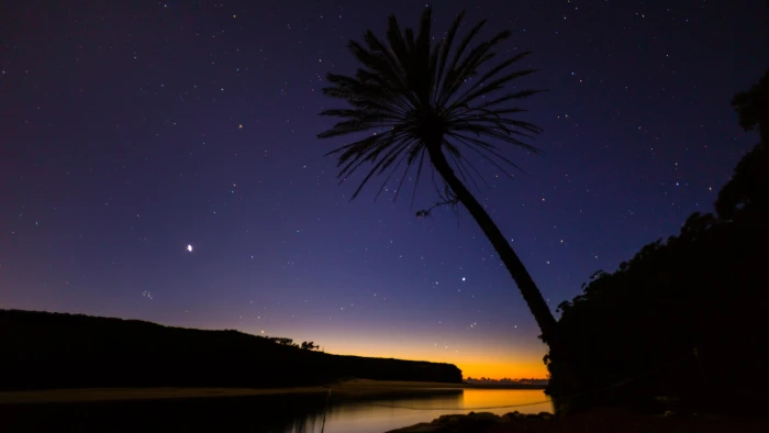 A Tree And Stars