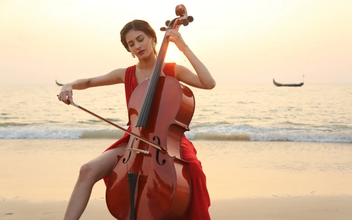 Amyra Dastur brown cello Bollywood Celebrities Female 2k 4k