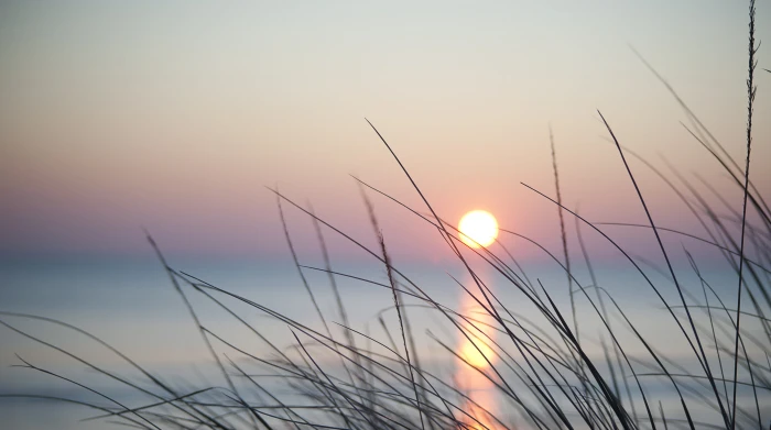 france montpellier blur grass gradient sunset sunrise 2k 4k