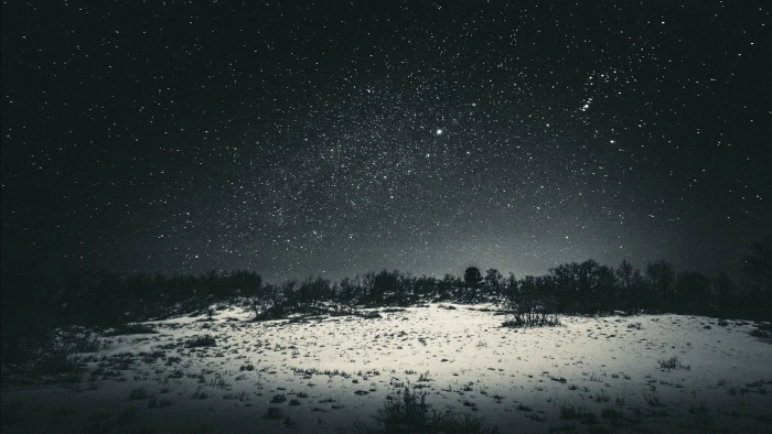 grayscale forest photo snow land with trees wallpaper stars 2k