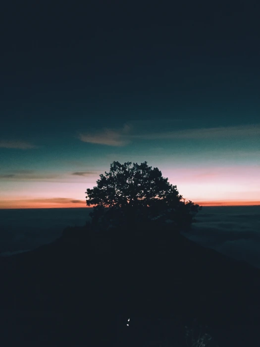 mexico pinal de amoles cuatro palos casa ejidal life morning 2k