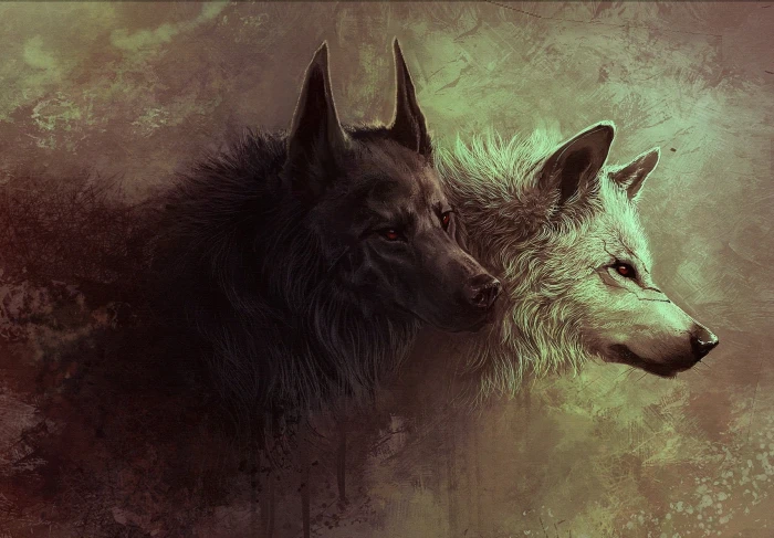 painting of two black and white fox wolf digital art fantasy 2k