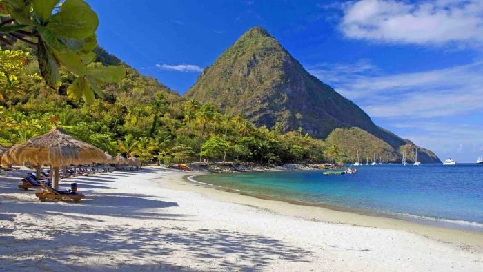 Sugar Beach Resort In Saint Lucia Caribbean Mountain Gros Piton Wallpaper Hd 2k 4k