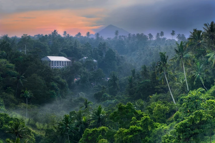 white building on dense forest digital wallpaper nature landscape 2k