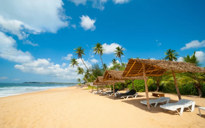 Sri Lanka Hikkaduwa Beach Golden Sandy Beaches Palm Trees Blue Waters Indian Ocean And The Bay Of Bengal Hd Wallpaper 2k