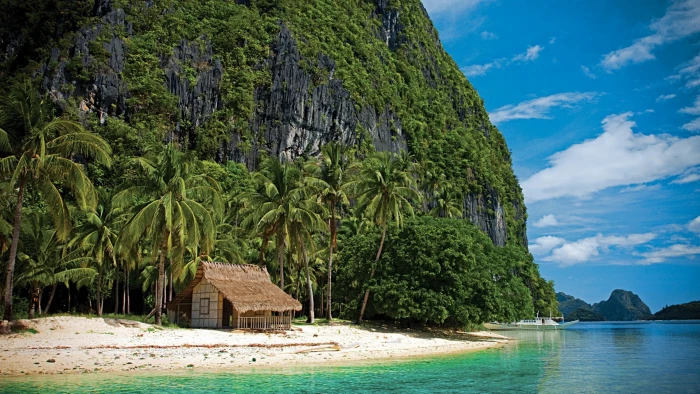brown hut and coconut trees beach tropical nature summer 2k