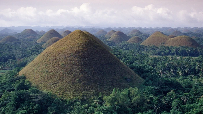 Hills Landscape Forest Jungle HD chocolate hills bohol nature 2k