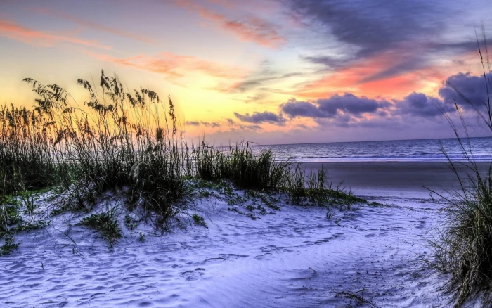 Hilton Head Island South Carolina USA beach grass sea sunset 2k