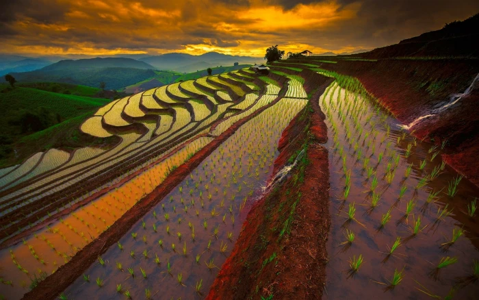 nature landscape mountains field rice paddy terraces sky 2k