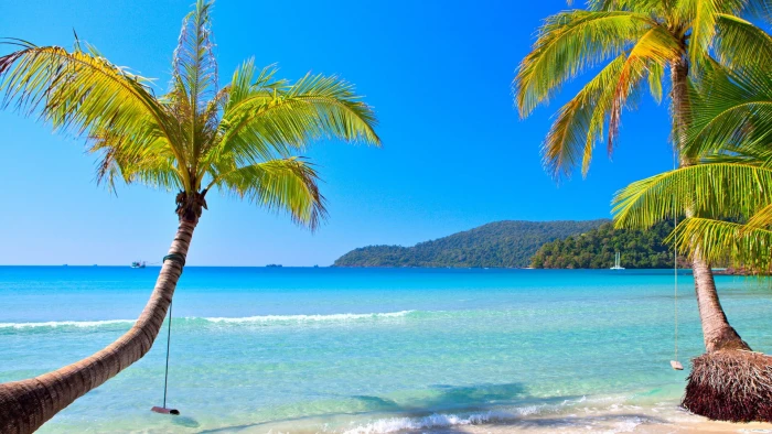 sea and two coconut trees beach tropical palm water 2k