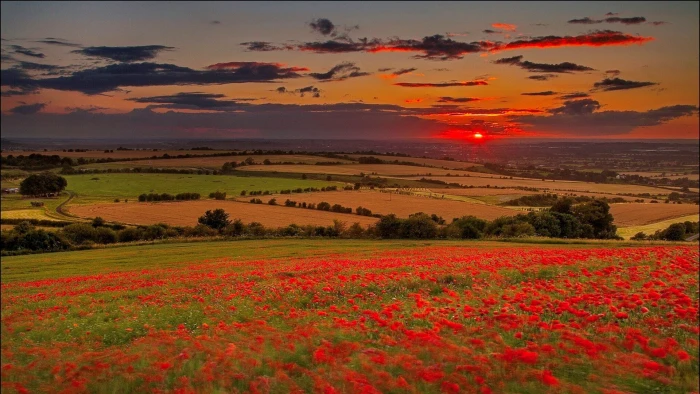 widescreen nature high resolution beauty in 2k