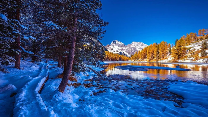 lake snow tree switzerland europe lakeside palpuogna 2k