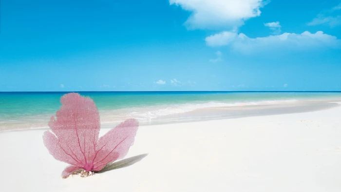 playa beach shore sea ocean sky clouds horizon blue 2k 4k