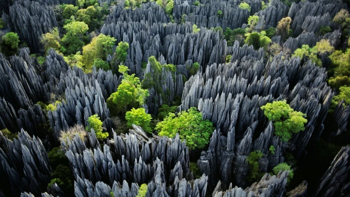rock formations with trees at daytime stones Madagascar nature 2k