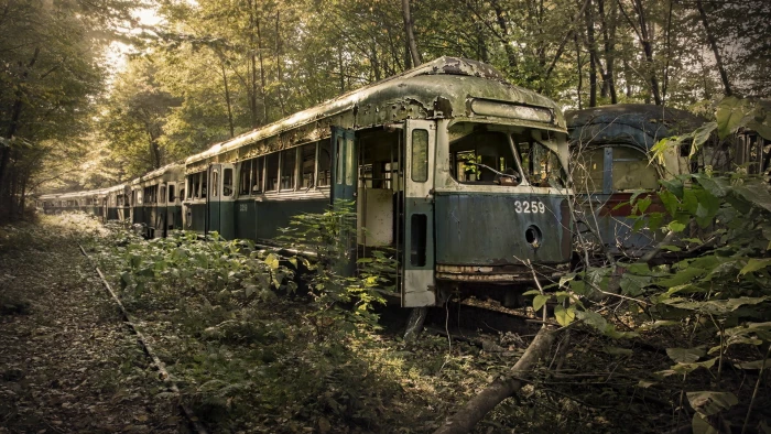gray and white train black locomotive surrounded with trees 2k