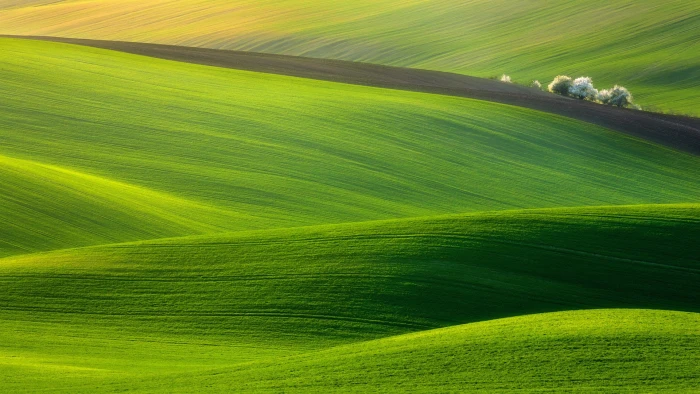 nature green wales plain naturel 2k