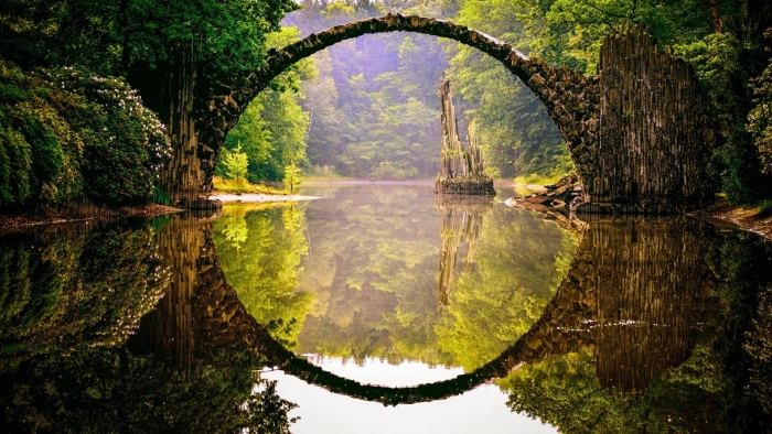 reflection water nature waterway green leaf vegetation 2k