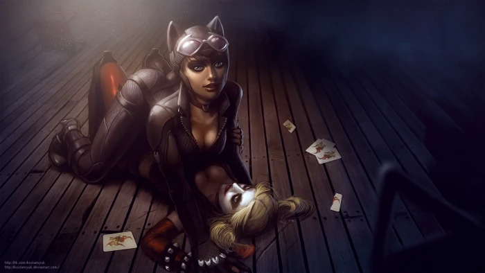catwoman comics fantasy girl harley hero heroes quinn 2k