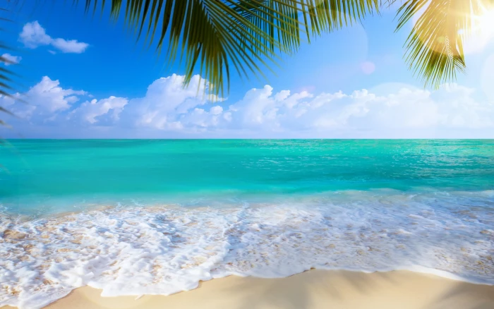 Beach sea shore white salts summer paradise tropical sand 2k