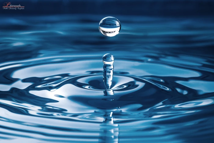 shallow focus photography of water drop agua gota 2k