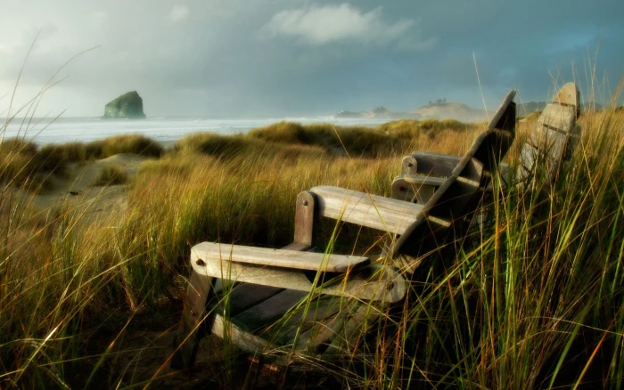 two brown wooden armchairs nature beach sea grass sky land 2k