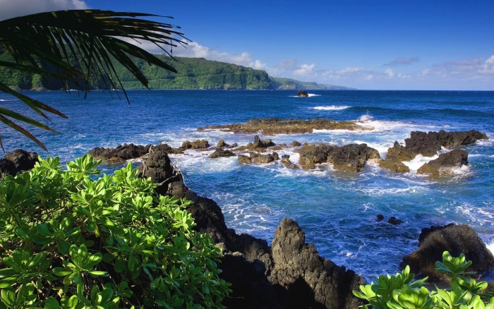 blue and white concrete house Hawaii sea coast water beach 2k