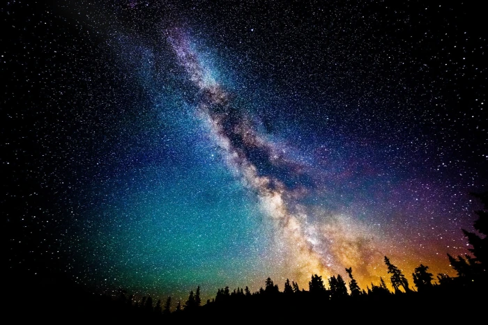 forest and sky during night illustration silhouette of trees under dark skies 2k