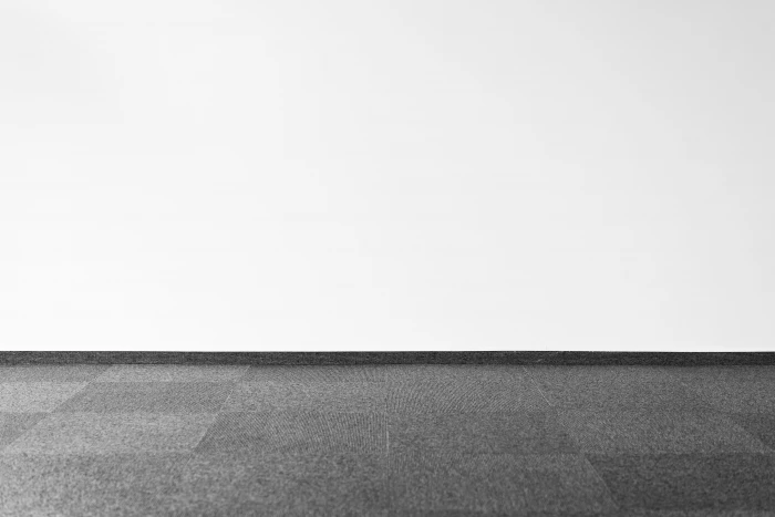 Gray Carpet and White Wall with Room for Text black white 2k 4k