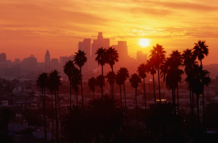 palm tree city the USA Los Angeles California sunset 2k 4k