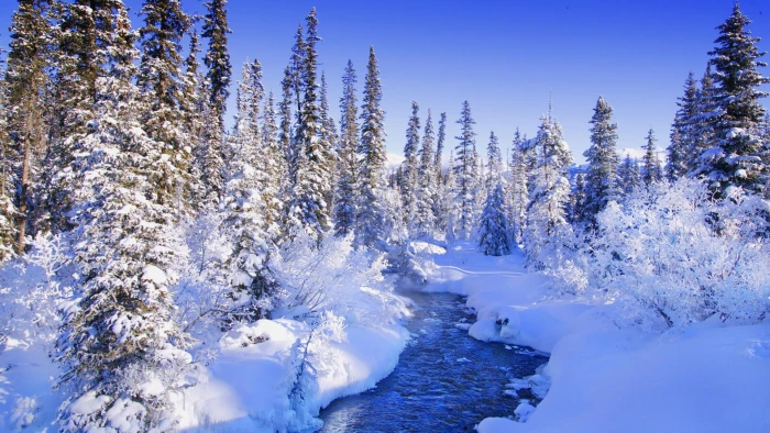 trees forest torrent snow landscapes Nature Winter HD Art 2k