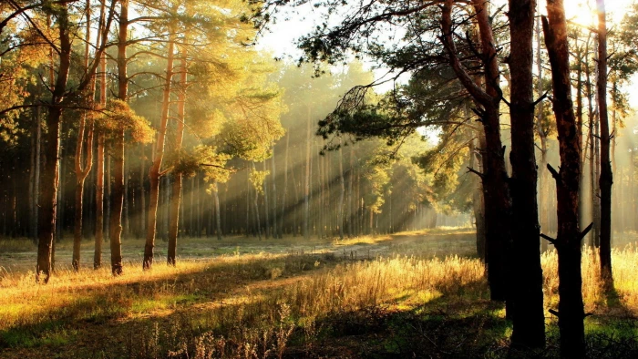 widescreen nature high resolution 2k