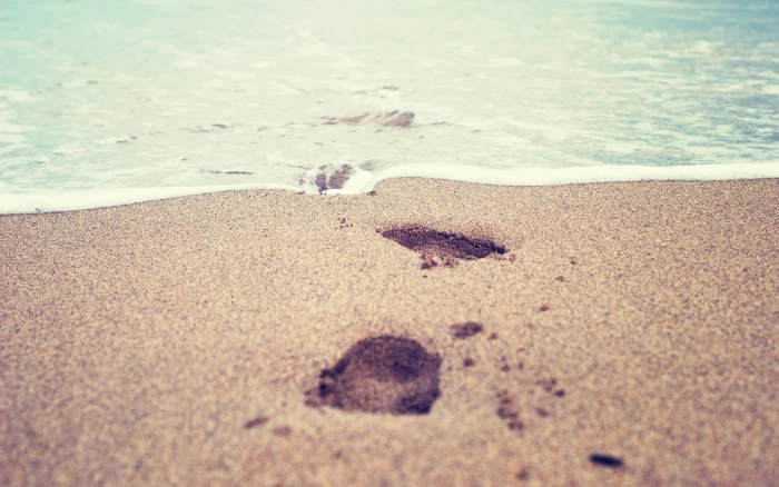 beach sand footprints land water sea nature selective focus 2k