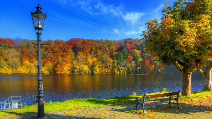 best pictures of nature hd picture autumn tree 2k