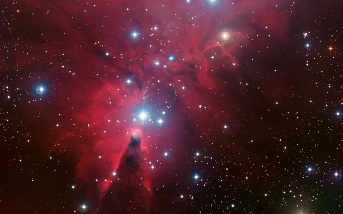 Christmas Tree Cluster Cone Nebula night star space 2k 4k