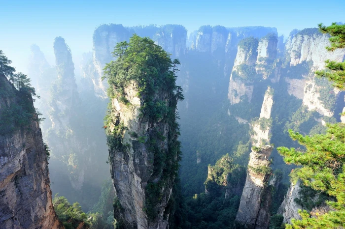 landscape poster nature cliff China Hunan plants zhangjiajie 2k