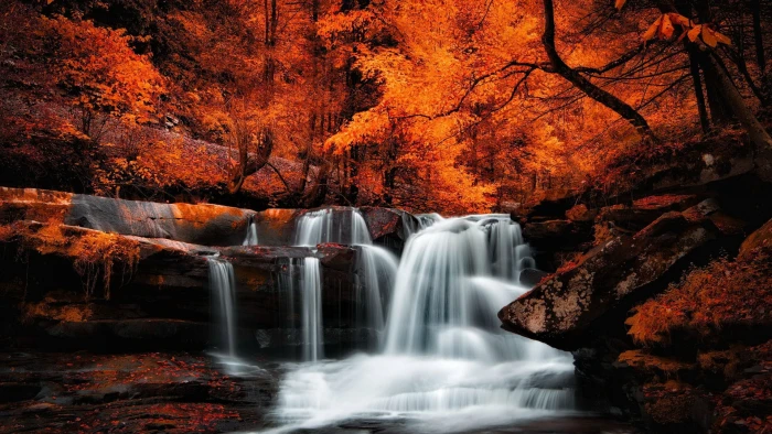 water nature waterfall leaves autumn stream tree deciduous 2k