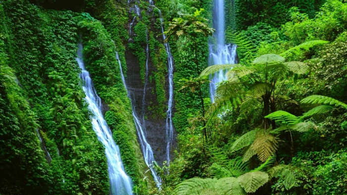 waterfall vegetation nature green body of water watercourse 2k