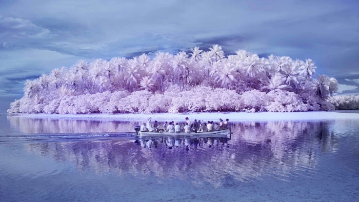 white and purple island pink Pacific Ocean palm trees boat 2k