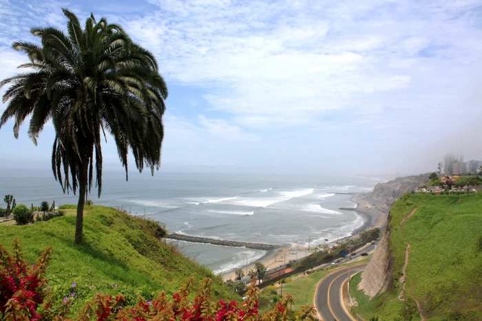 aerial photo of a palm tree road and sea miraflores 2k