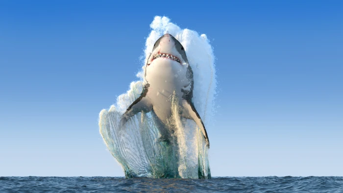 Great White Shark render sea fangs Photoshop water sky 2k 4k