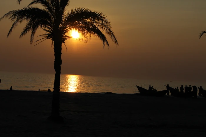 silhouette of palm tree during sunset sea beach kuakata bangladesh 2k 4k