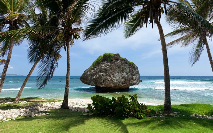 Tropical scenery island sea stone palm trees 2k