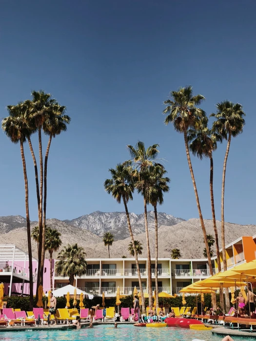beach with mountain range nearby palm tree near pool friend 2k